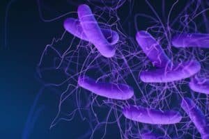 C difficile