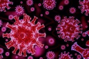 Covid virus. Pixabay