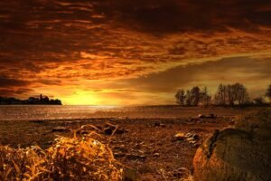 A beautiful sunset on a farm