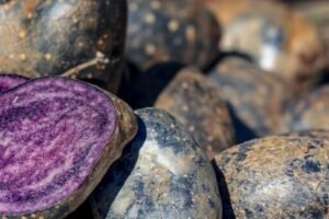 Purple tubers