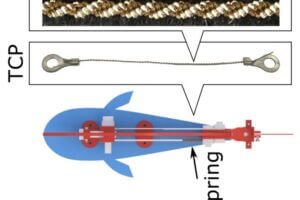 Illustration of robot fish and its Antagonistic muscles