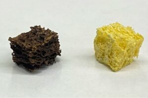 Sponge coated with nanoparticles (left) next to an uncoated cellulose sponge