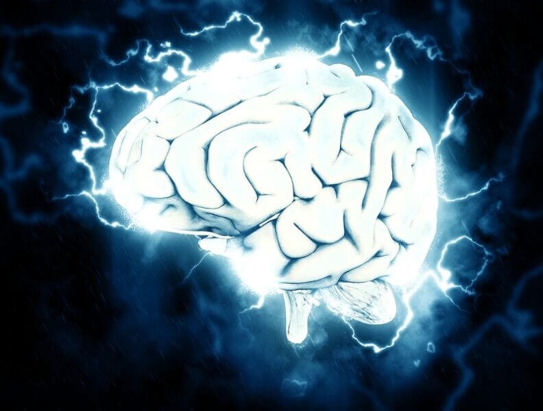 Brain illustration
