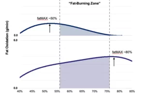 The study uncovered individual variations in fat burning during exercise. Graphs of two people's fat burning curves highlight differences in fat burning rates at varying exercise intensities and demonstrate that fatMAX falls outside the predicted “fat burning zone.” These variations underscore the need for personalized exercise plans.