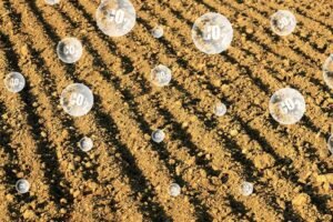 Soil with CO2 bubbles coming off of it