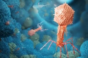 Bacteriophage particle interacting with mammalian cells.