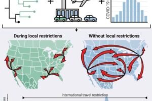 infographic