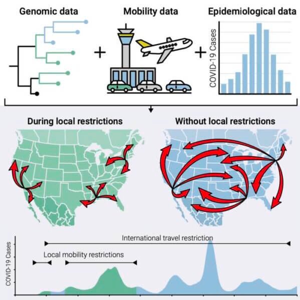 infographic