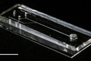 microfluidic device