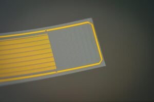 Closeup of the graphene electrode array.