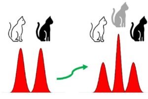 qubit illustratioj