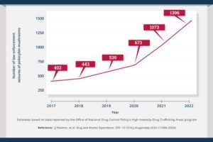 Law enforcement seizures of “magic mushrooms” or “shrooms” containing the psychoactive component psilocybin increased dramatically in the United States between January 2017 and December 2022, according to a new study funded by the National Institute on Drug Abuse, part of the National Institutes of Health.