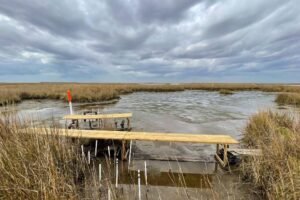 One of nearly 400 Coastwide Monitoring Reference System (CMRS) sites along the Louisiana coast where scientists collect data to measure wetland surface-elevation change. (Photo courtesy Guandong Li/Tulane University)