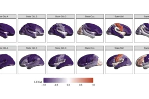 Six transient states of brain connectivity identified in the study