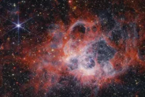 This image from NASA’s James Webb Space Telescope’s NIRCam (Near-Infrared Camera) of star-forming region NGC 604 shows how stellar winds from bright, hot, young stars carve out cavities in surrounding gas and dust. NASA, ESA, CSA, STScI