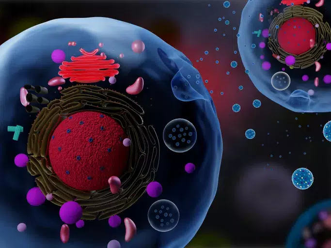Extracellular vesicles are small bubbles that cells can send to each other to exchange information. Image: Getty Images