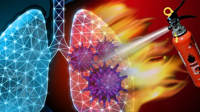 An illustration of ferroptosis in the lungs of COVID-19 patients
