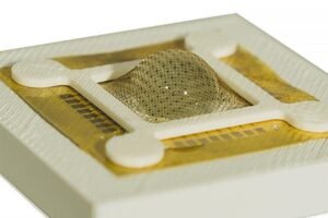 A photograph of the artificial compound eye prototype developed at the University of Virginia School of Engineering and Applied Science by associate professor Kyusang Lee.