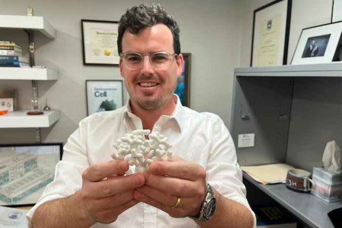 To Alex Hughes, Assistant Professor in Bioengineering within Penn Engineering and in Cell and Developmental Biology within Penn Medicine, the kidney is a work of art. “I find the development of the kidney to be a really beautiful process,” says Hughes.