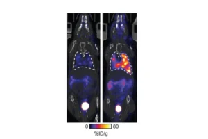 Example scan