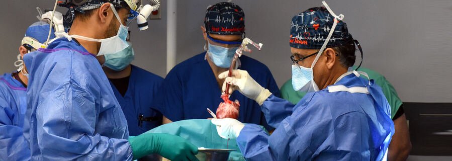 Surgeons transplanting the pig heart