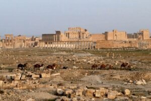 View of Palmyra with the Temple of Bel, Syria