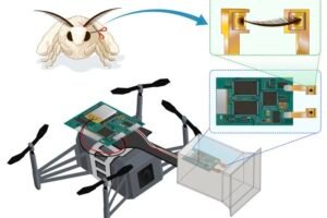 Researchers from Shinshu University and Chiba University develop a novel bio-hybrid drone using odor-sensing antennae from silkworm moths. Incorporation of an electroantennography (EAG) sensor to detect odorants and optimization of the electrode and enclosure structure in the robot enhanced the odor search range, detection precision, and system performance of the drone, thus, improving its application in diverse environments.