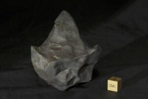 Aguas Zarcas meteorite with irregular surface features. This 146g stone is on loan to the Buseck Center for Meteorite Studies from Michael Farmer.
