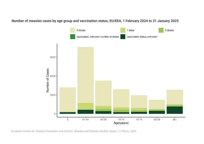 Measles vaccination coverage remains suboptimal in many EU/EEA countries. Sustained improvements are required in the coverage of routine childhood immunisation programmes, as well as closing immunity gaps in adolescents and adults who have missed vaccination opportunities in the past.
