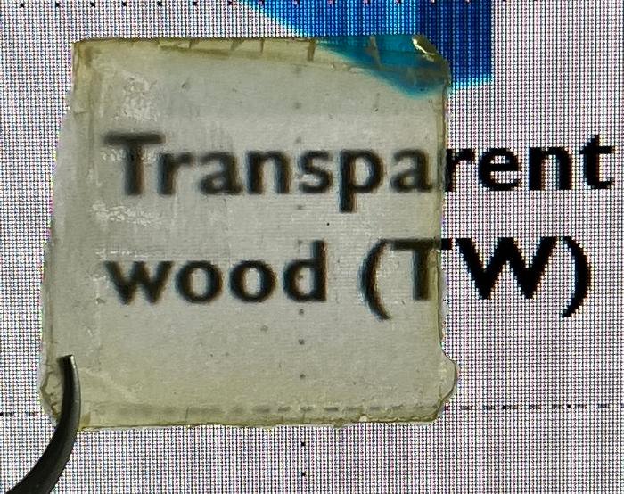 This slice of semi-transparent wood is made with natural materials and could be used in applications from wearable sensors to energy-efficient windows.