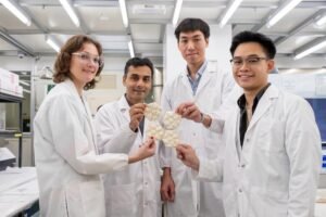 NTU scientists, in collaboration with local ecology and biomimicry design firm bioSEA, have developed ‘fungi tiles’ that could help cool buildings down without consuming energy.