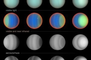 The image columns show the change of Uranus for the four years that STIS observed Uranus across a 20-year period. Over that span of time, the researchers watched the seasons of Uranus as the south polar region darkened going into winter shadow while the north polar region brightened as northern summer approaches.